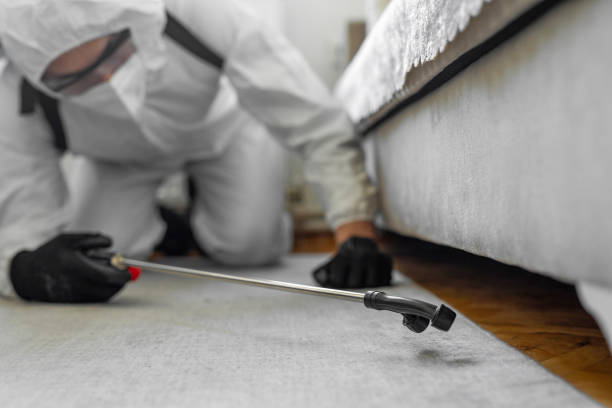 Professional Bed Bug Control technician working in Brightwaters, NY