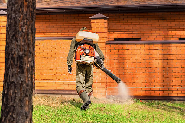 Trusted Termite Control service in Brightwaters, NY - Nex Pest Control